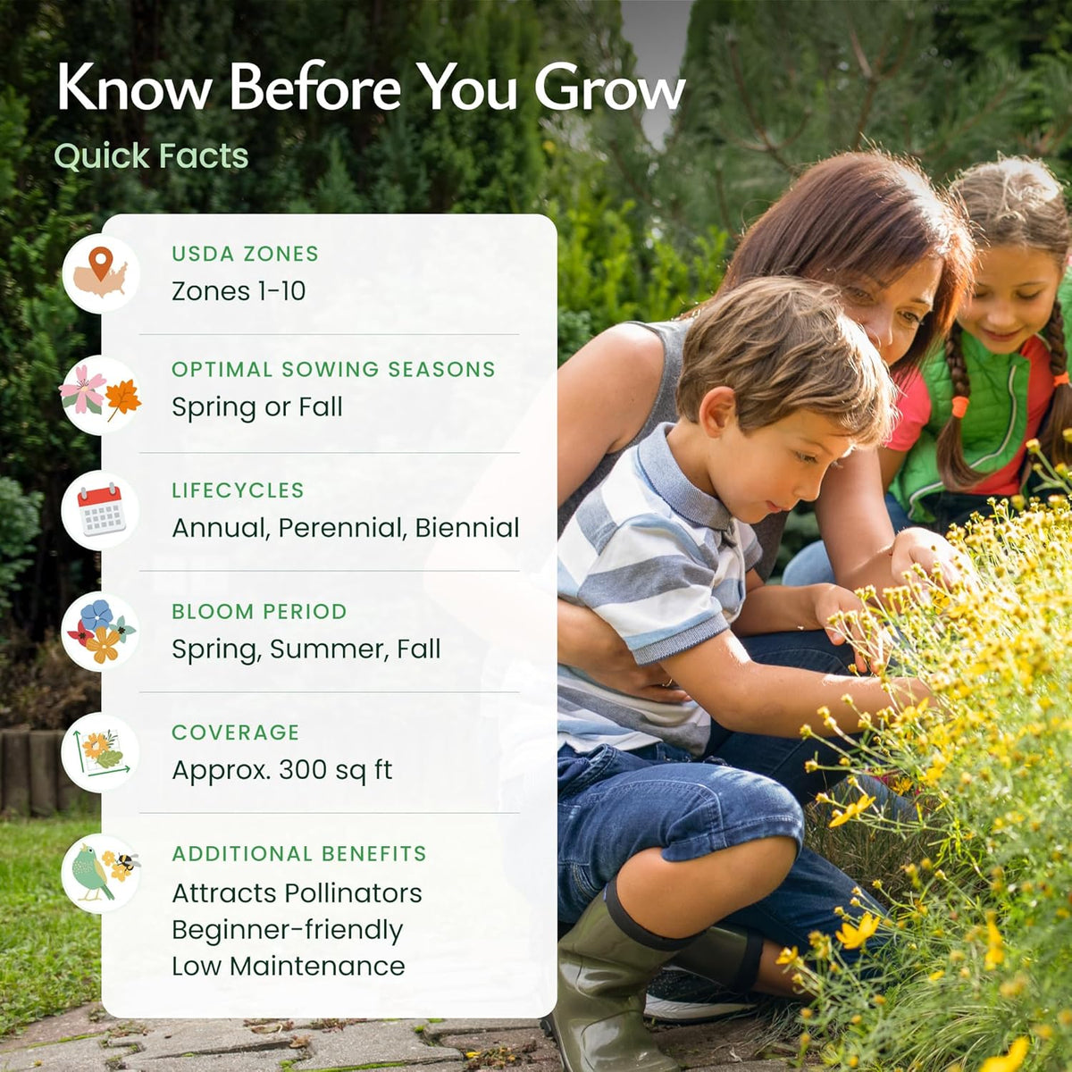 Created By Nature Texas Wildflower Seed Mix with Texas Bluebonnet Seeds, 17 Flower Varieties