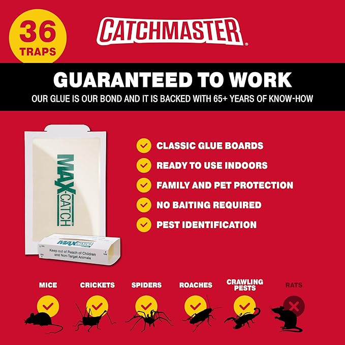Catchmaster Max-Catch Mouse & Insect Glue Trap 36pk, Mouse Traps Indoor for Home, Sticky Pest