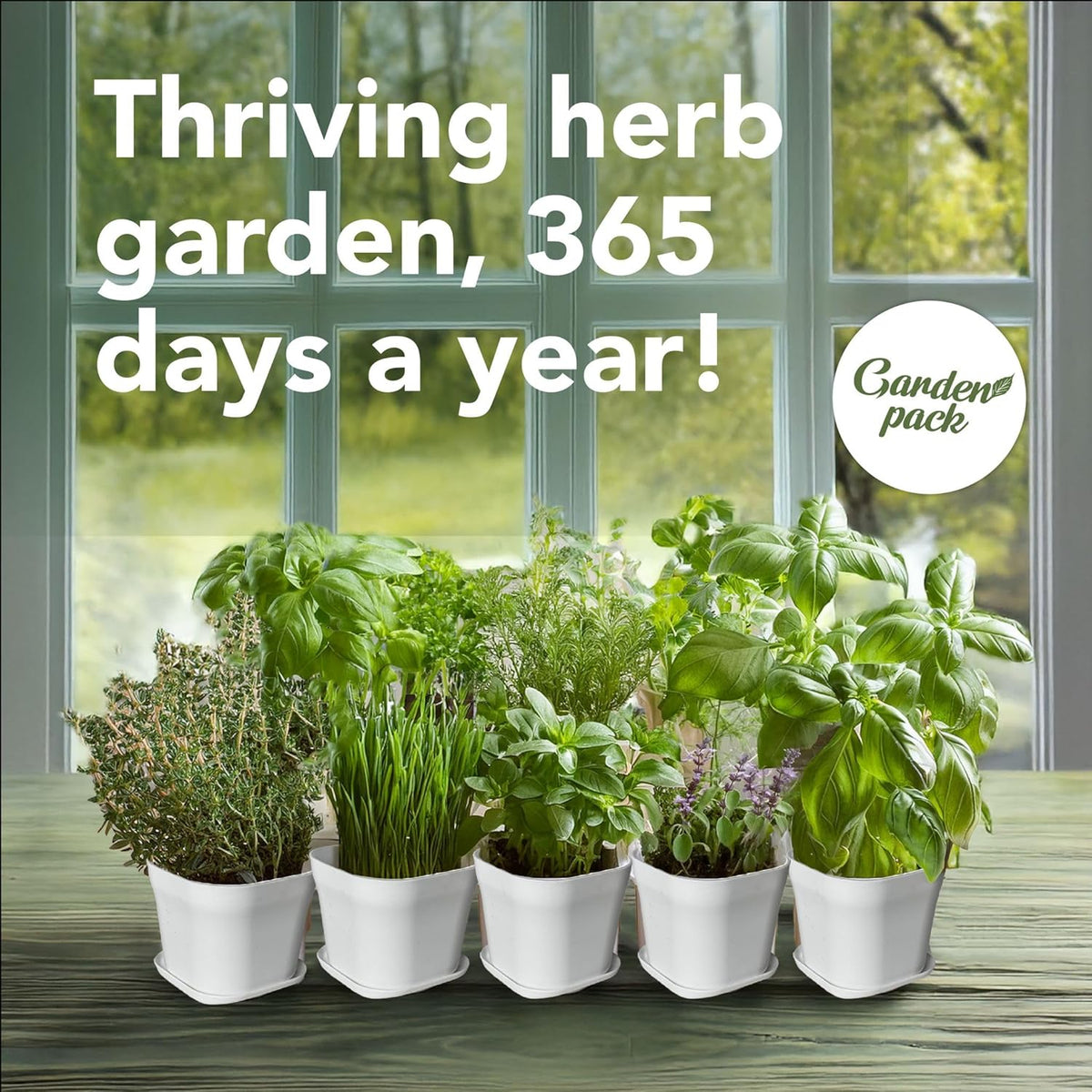 Garden Pack 10 Herb Indoor Window Herb Garden - Includes Pots, Trays, and Compressed Soil for Easy