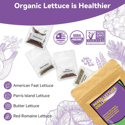 inbloom Salad Romaine Lettuce Seed Pod Kit for AeroGarden, Ahopegarden Hydroponics Growing System