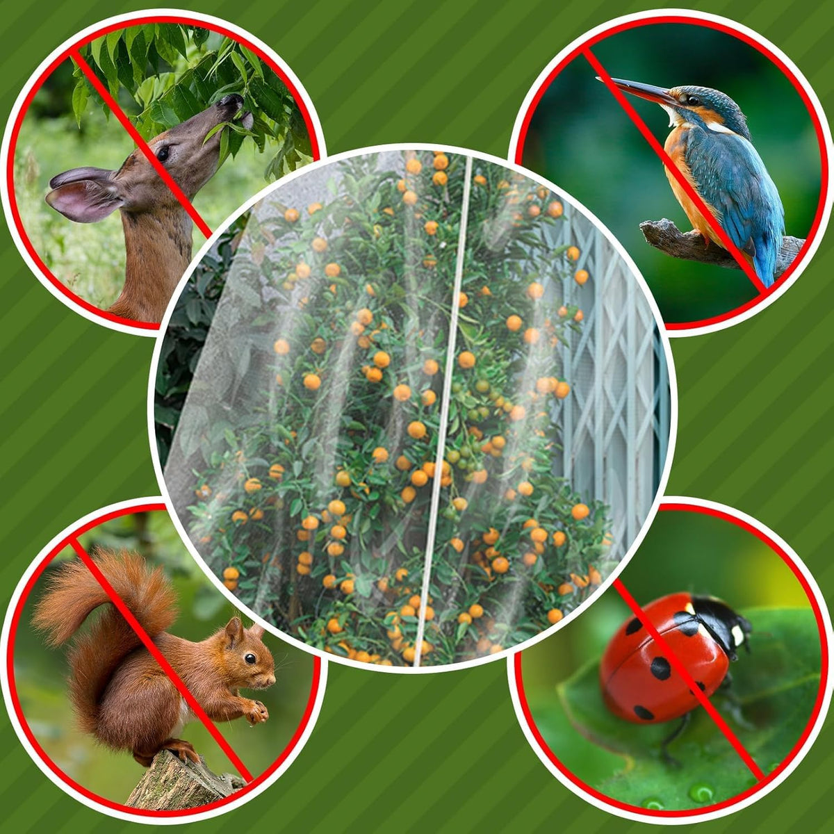 TWOWYHI 2Pack Garden Netting 8.2X8.2 Feet Large Fruit Tree Netting with Zipper and Drawstring