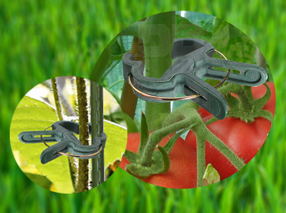 Plant Clips 40 Piece Green Gentle Gardening Plant & Flower Lever Loop Gripper Clips, Tool for