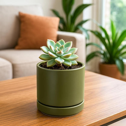 D'vine Dev 4.7 Inch Ceramic Planter Pot with Drainage Hole and Saucer, Indoor Cylinder Round