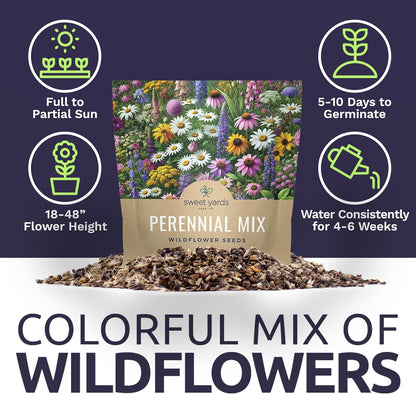 Perennial Wildflower Seeds Mixture - Bulk 1 Ounce Packet - Over 15,000 Pure Live Seed - Open