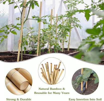 Plant Stakes 16inch, 20Pcs Natural Bamboo Sticks Garden Stakes, HAINANSTRY Plant Support Stakes for
