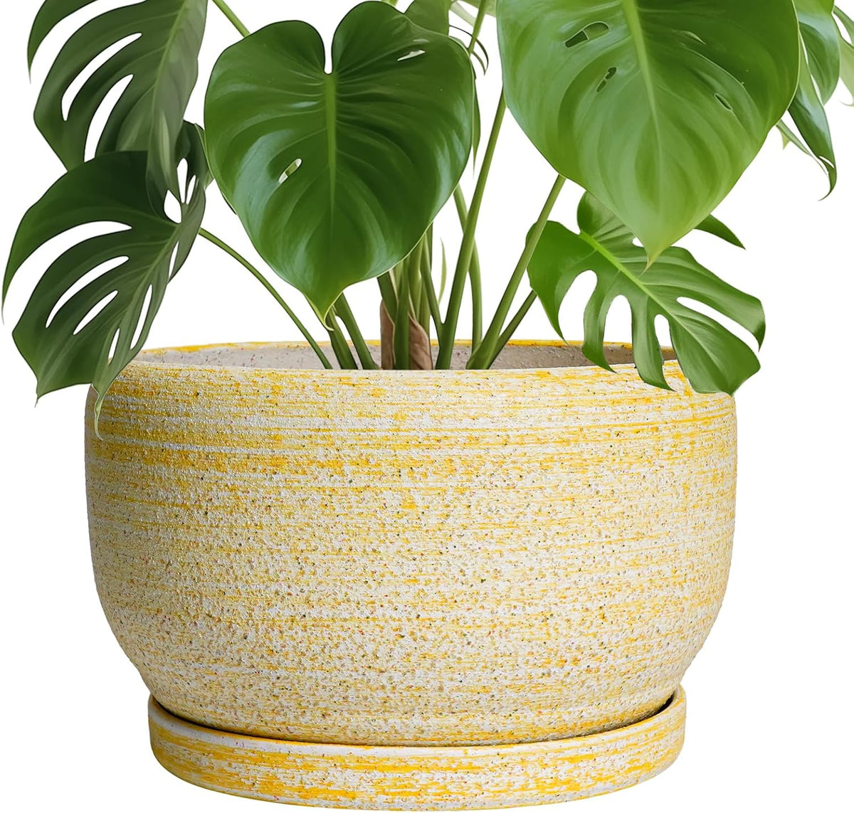 SQOWL Ceramic Planters for Indoor Plants - 10 Inch Plant Pot with Drainage Hole and Saucer, Round