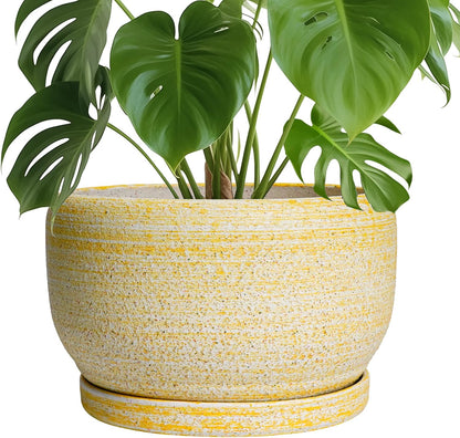 SQOWL Ceramic Planters for Indoor Plants - 10 Inch Plant Pot with Drainage Hole and Saucer, Round