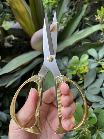 Indoor Plant Shears and Garden Scissors, Houseplant Shears Made of Japan SK5 Stainless Steel