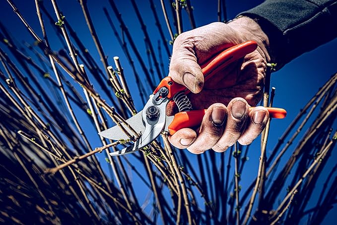 Original LÖWE Bypass Pruner Garden Tools 14.104 | Use as Pruners, Hedge Trimmer, Garden Shears