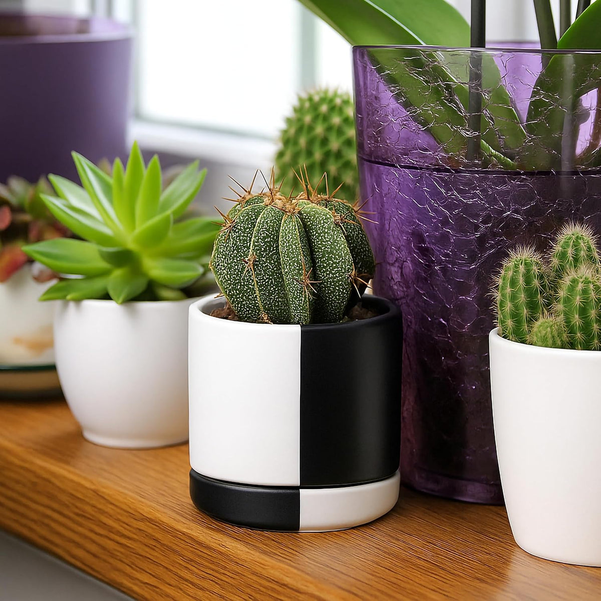 D'vine Dev 3.5 Inch Ceramic Planter Pot with Drainage Hole and Saucer, Indoor Cylinder Round