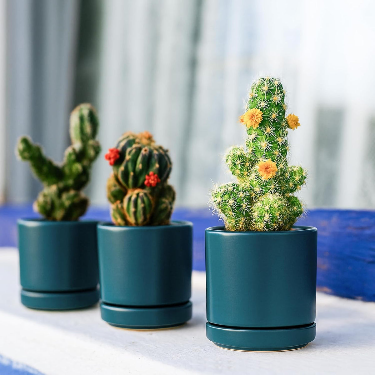 D'vine Dev Set of 2 Plants Pots, 3.5 Inch Ceramic Planter Pot for Plants with Drainage Hole and