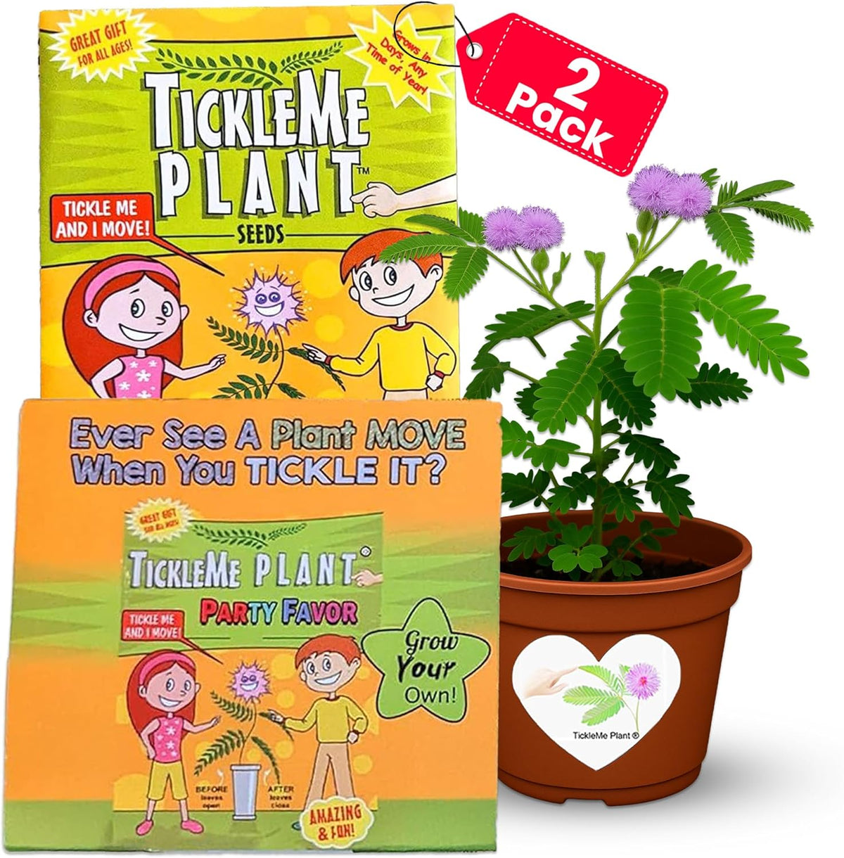 TickleMe Plant Birthday Party Favors (Pack of 2) | Leaves Fold When You Tickle It, Reopen in