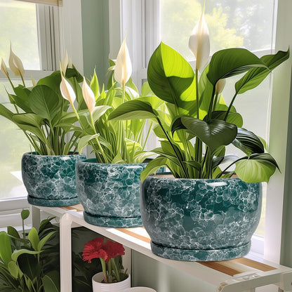 SQOWL 10 Inch Plant Pot - Ceramic Planter for Indoor Plants Outdoor, Large Ceramic Flower Pot with