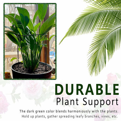 6 Pack Plant Support Stakes, Metal Monstera Plant Support Stakes for Indoor Plants, Large Garden