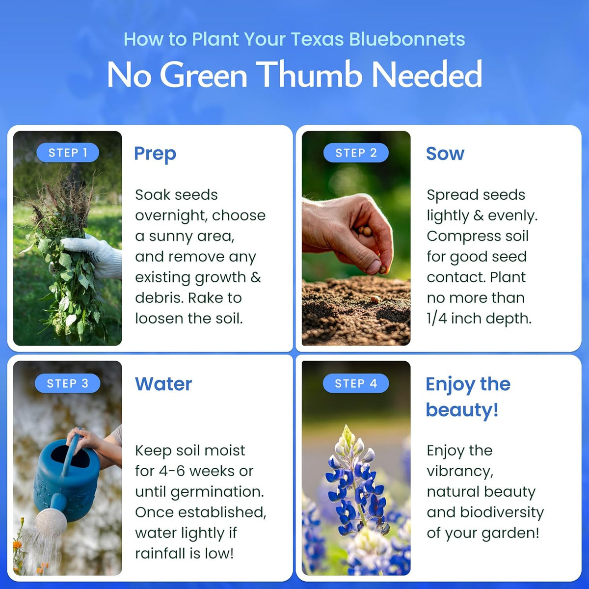 Created By Nature Texas Bluebonnet Seeds, 750+ Wildflower Seeds, Texas State Flower