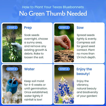 Created By Nature Texas Bluebonnet Seeds, 750+ Wildflower Seeds, Texas State Flower
