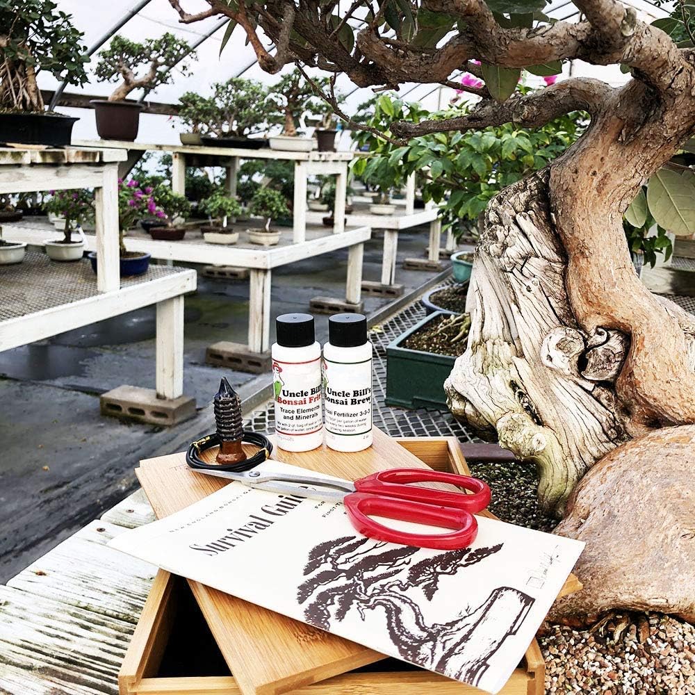 Starter Bonsai Tool Kit - Survival Guide + Set Includes: Butterfly Pruning Shears, Bottle Uncle