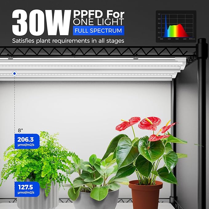 Barrina CX5Z Indoor Greenhouse with Grow Light, 6PCS 30W per Light Full Spectrum T8 Plant Lights
