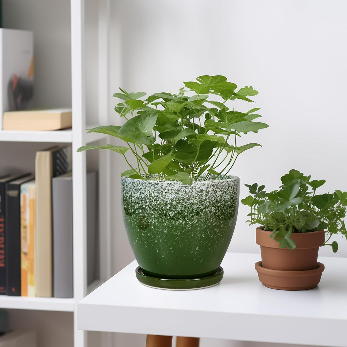 Ceraimc Plant Pot - 6 Inch Planter with Drainage and Plant Tray, Round Succulent Planters