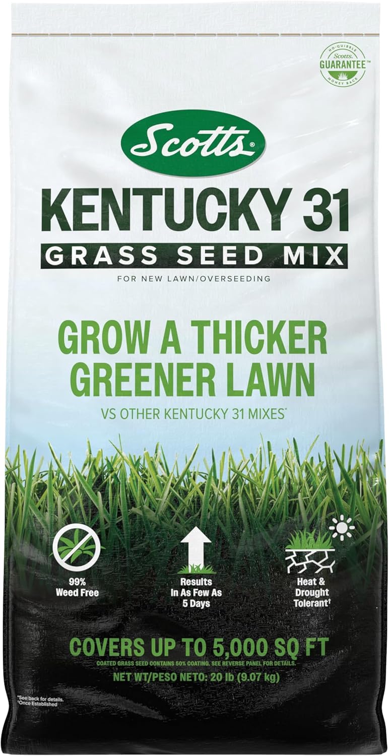 Scotts Kentucky 31 Grass Seed Mix for New Lawns or Overseeding, Grows Thicker and Greener vs. Other