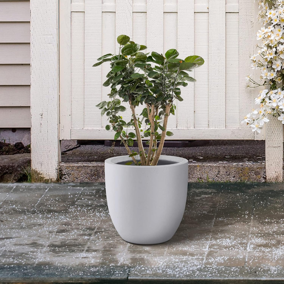 Kante 16.5" Dia Round Concrete Planter, Large Outdoor Modern Indoor Decorative Plant Pots with