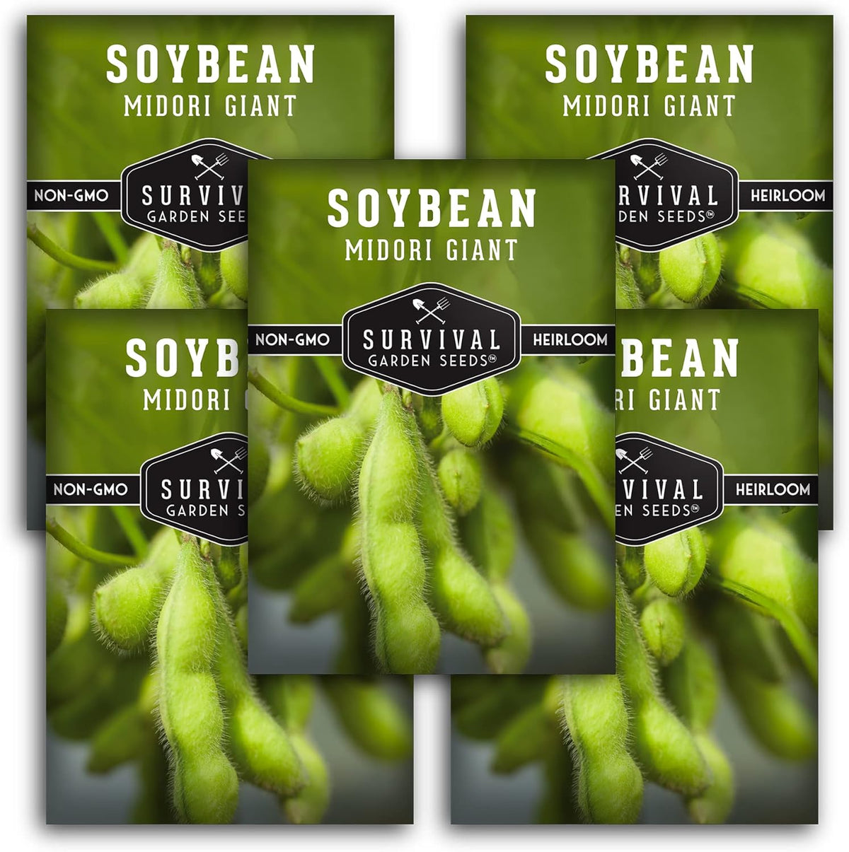 Midori Giant Soybean Seeds for Planting - Grow Protein-Rich Edamame Pods in Your Home Vegetable