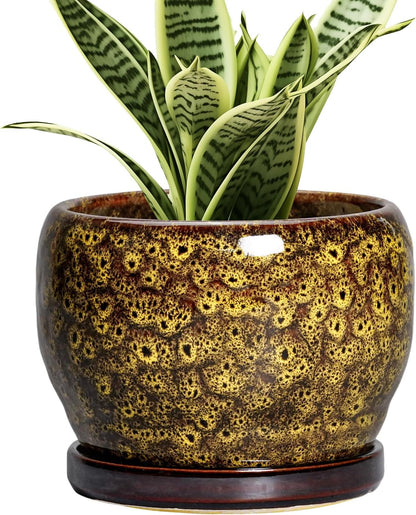 SQOWL 6 Inch Plant Pot - Ceramic Flower Pots with Drainage Hole and Saucer, Ceramic Planter for