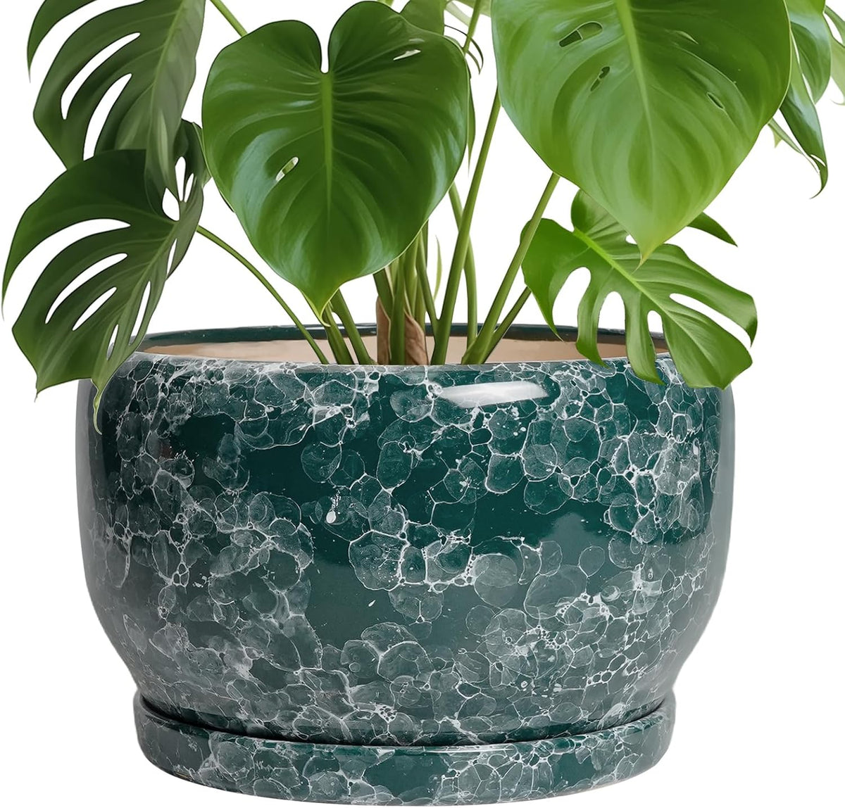 SQOWL 10 Inch Plant Pot - Ceramic Planter for Indoor Plants Outdoor, Large Ceramic Flower Pot with
