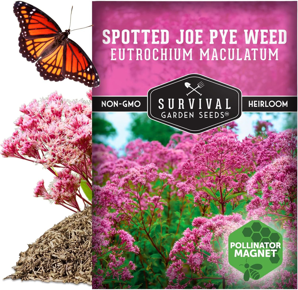 Survival Garden Seeds - Spotted Joe Pye Weed Seeds for Planting | Eutrochium maculatum | Butterfly
