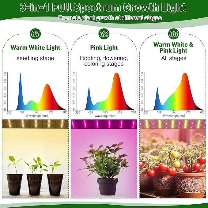 Meonum Mini Greenhouse with Grow Light for Indoor, 23.6 x15.7 x19.6 Tabletop Small Greenhouse Kit