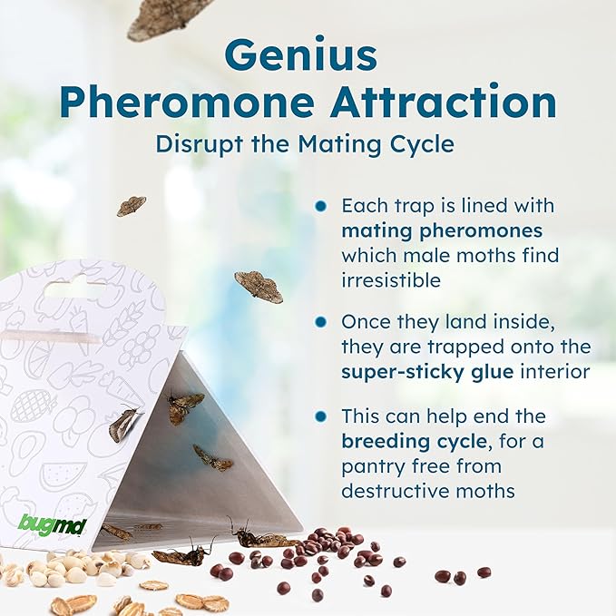 BugMD Pantry Moth Traps (6-Pack) – Pheromone-Based Sticky Glue Traps, Non-Toxic, Kills Indian Meal