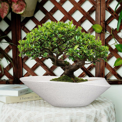 Bonsai Pots - 18 Inch Ceramic Plant Pot for Bonsai Tree, Modern Indoor & Outdoor Succulent Planter