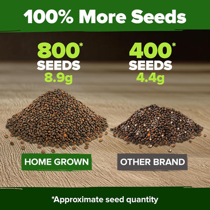 HOME GROWN 𝗨𝗦𝗔 𝗣𝗥𝗘𝗠𝗜𝗨𝗠 Cherry Belle Radish Seeds 800+ 𝗡𝗢𝗡-𝗚𝗠𝗢 Heirloom Vegetable