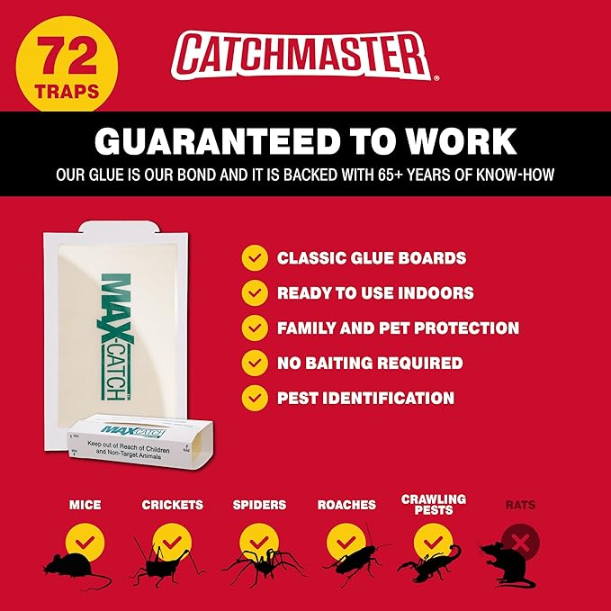 Catchmaster Max-Catch Mouse & Insect Glue Trap 72pk, Mouse Traps Indoor for Home, Sticky Pest