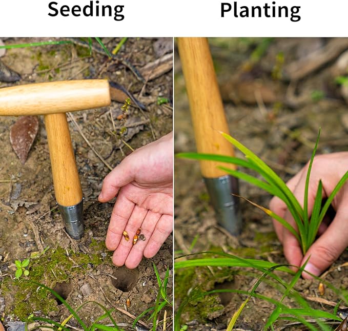 FLORA GUARD Hand Dibber Garden Tool, Seed Planter Tool with Wood Handle for Sowing Seed - 5" Seed