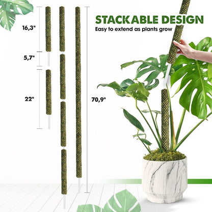 DUSPRO Stackable Mesh Moss Pole for Plants Monstera Potted Plant Stakes for Indoor Plants