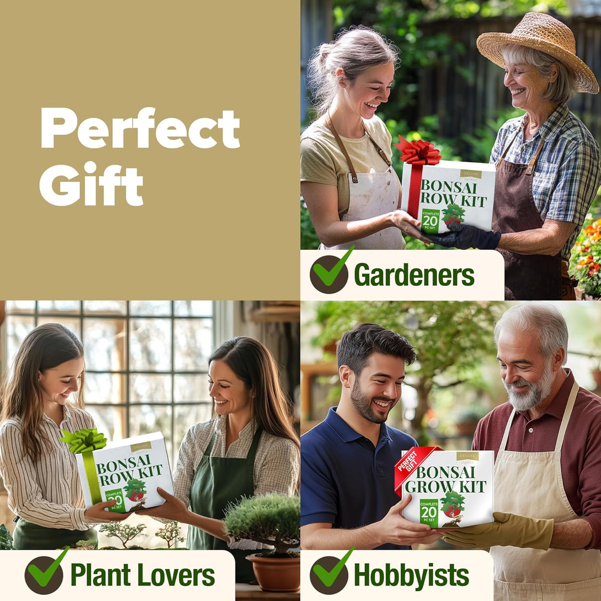 HOME GROWN Bonsai Tree Kit – Grow 4 Bonsai Types Indoors with Complete Starter Kit Including Pots