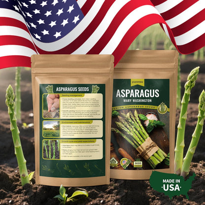 Mary Washington Asparagus Seeds - 900 Seeds, Non-GMO Heirloom Organic Seeds with Planting