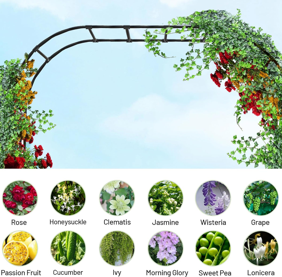 Twira Garden Arch Trellis, 7.9FT(240cm) Metal Garden Arbor Trellis for Climbing Plants Outdoor