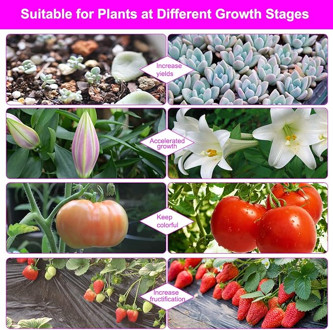 Grow Lights for Indoor Plants, Full Spectrum LED Plant Lamps with Clips and 3m Cables for Seeding