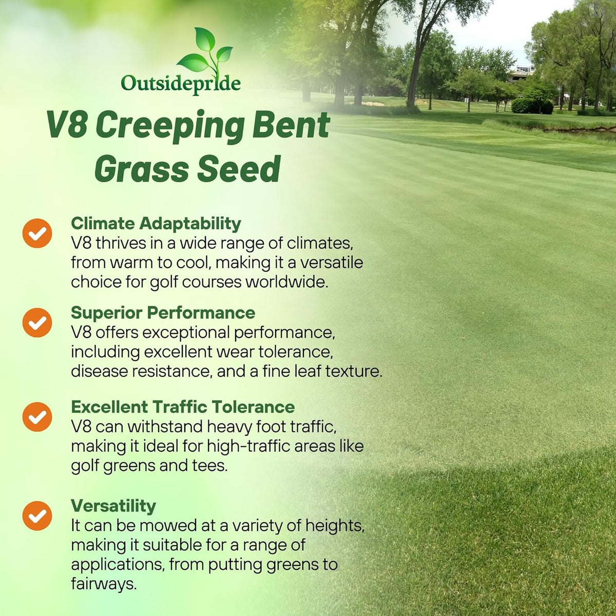 Outsidepride V8 Creeping Bentgrass Seed - 5 lbs. Fine-Bladed, Premium Quality Turf, Grass Seeds for