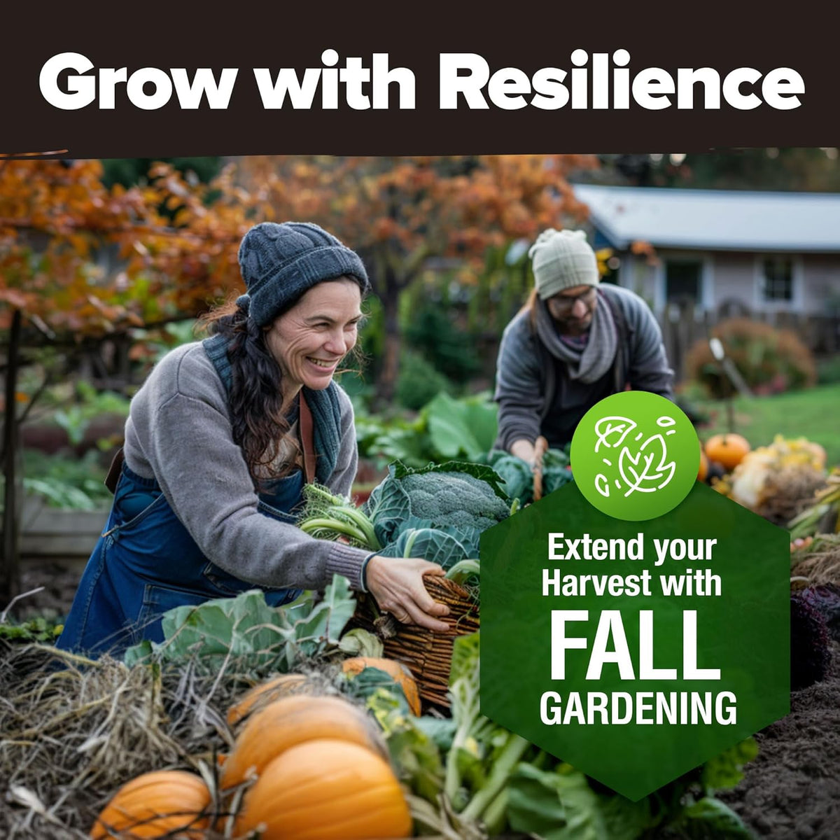 HOME GROWN 12 Fall Vegetable Seeds 6,000+ 𝗨𝗦𝗔 Heirloom 𝗡𝗢𝗡-𝗚𝗠𝗢 Seeds for Fall & Winter