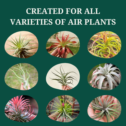 Cute Farms Tillandsia Air Plant Fertilizer | Gentle Weekly Use Formula Plant Food | Formulated
