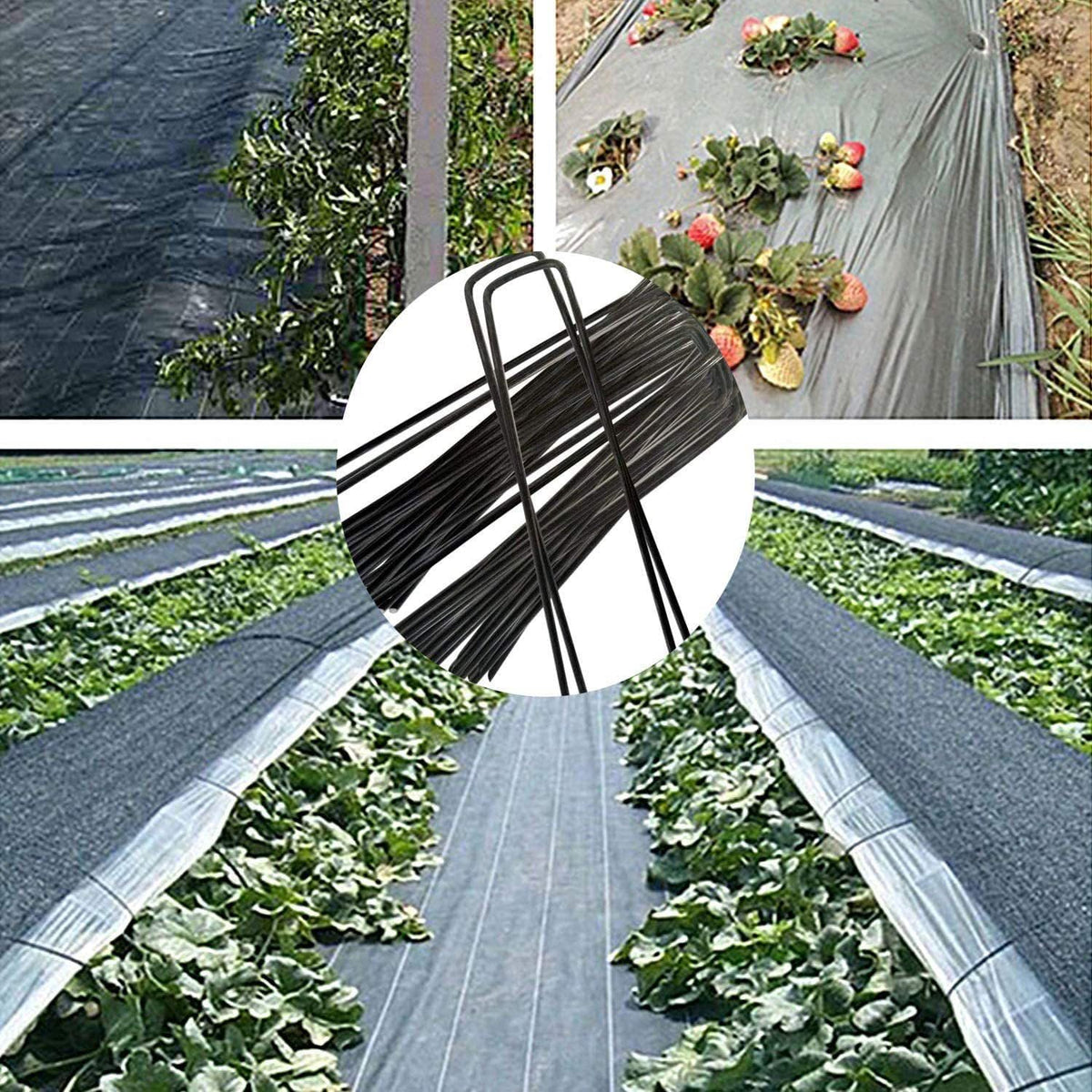 6 inch 25 Pack Black Galvanized Landscape Staples 11 Gauge Garden Stakes Pins Anti-Rust Ground