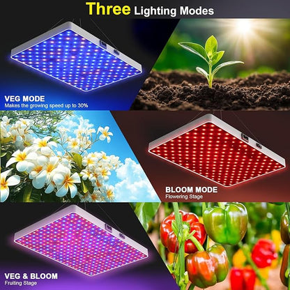 Remote Control LED Grow Light for Indoor Plants, Full Spectrum Plant Light for Indoor Growing with