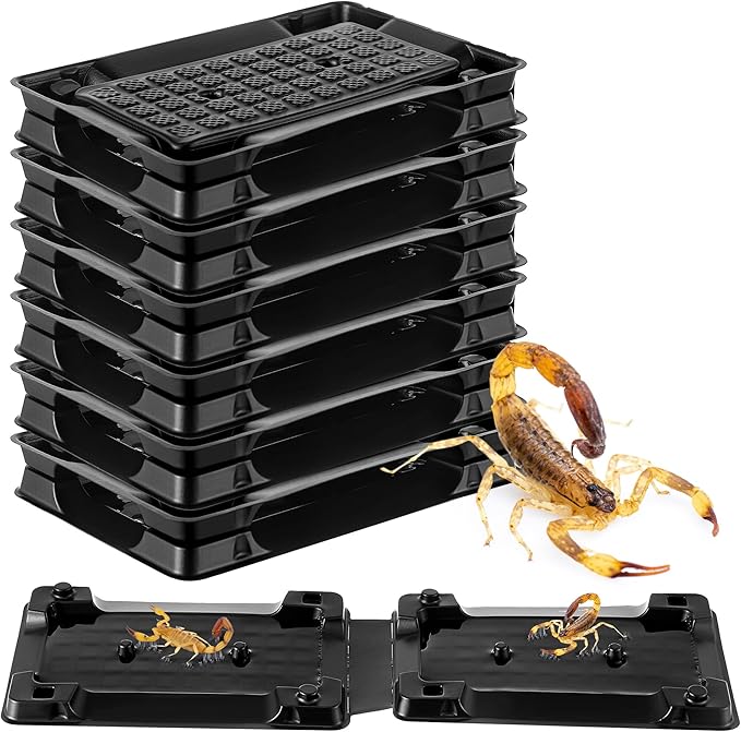 Qualirey 6 Scorpion Glue Tray Traps, Adhesive Scorpion Killer Indoor, Pet and Children Safe