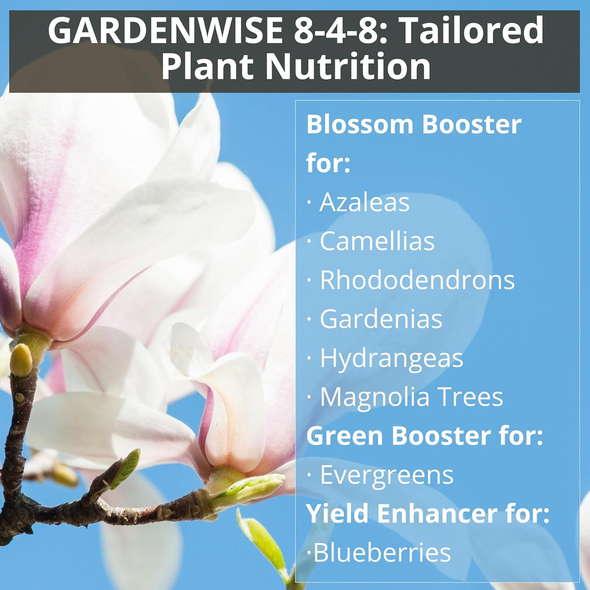 8-4-8 Acidic Fertilizer for Azaleas, Camellias (Camelia), Hydrangeas, Blueberries, Gardenias
