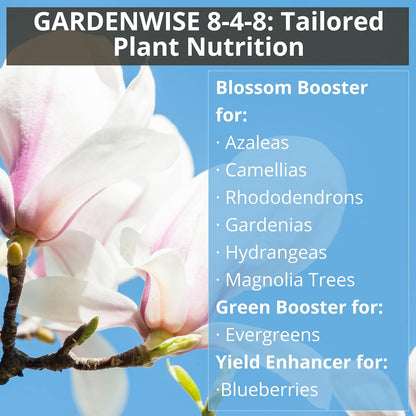 8-4-8 Acidic Fertilizer for Azaleas, Camellias (Camelia), Hydrangeas, Blueberries, Gardenias