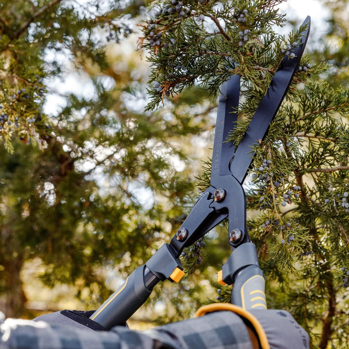 Woodland Tools Super Duty Hedge Shears, 23 Inch Manual Hedge Clippers with 10 Inch Gear-Assist
