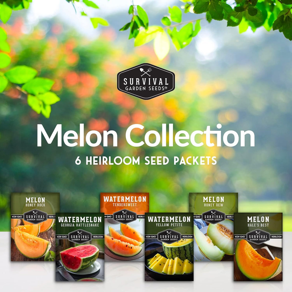 Melon Seeds Variety Pack – 6 Heirloom Cantaloupe, Honeydew & Watermelon Types for Planting – with